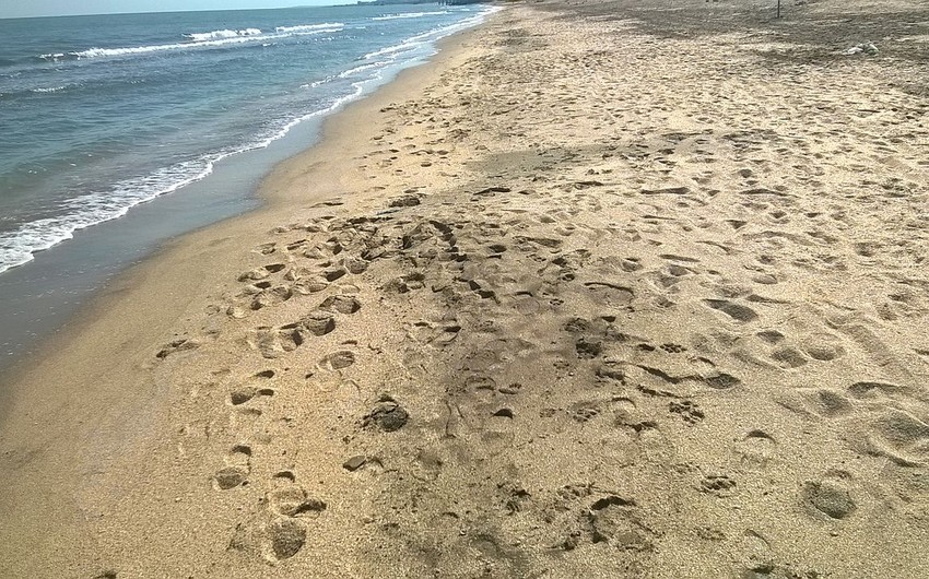 На пляже Шихово произошла поножовщина