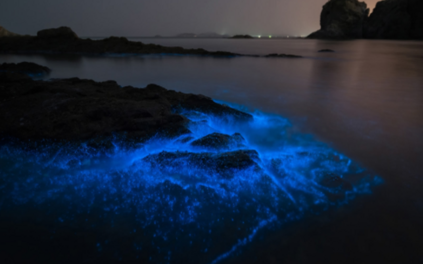 Çində dəniz mavi neon rənginə boyanıb - FOTO