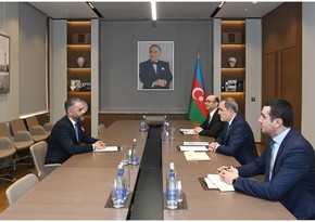 Albania's newly appointed ambassador presents credentials to Azerbaijan's foreign minister