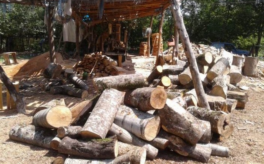 В Масаллы обнаружены полученные незаконным путем лесоматериалы