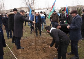 В Наримановском районе посажено 2 500 деревьев