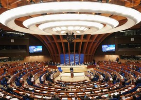 PACE rejects proposal of Armenian delegation on saboteur-terrorists