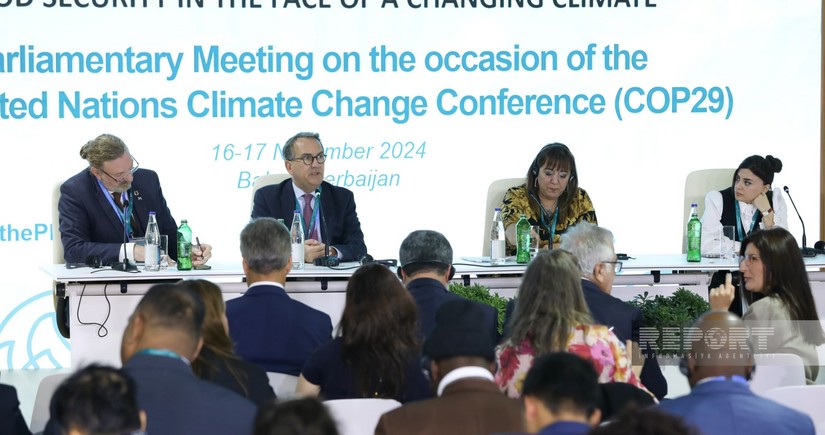 Impact of climate change on health discussed at Baku Parliamentary meeting