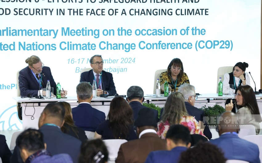 Impact of climate change on health discussed at Baku Parliamentary meeting