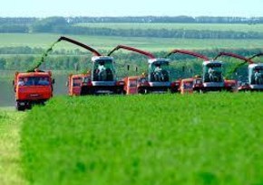 Azerbaijan posts 6.3% growth in agricultural production