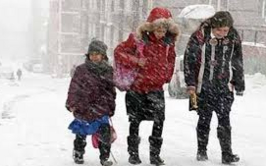 Из-за сильного снегопада в 11 провинциях Турции закрыты школы