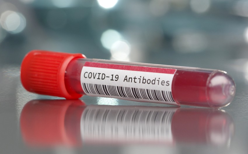 Британские ученые обнаружили сокращение населения с иммунитетом к COVID-19