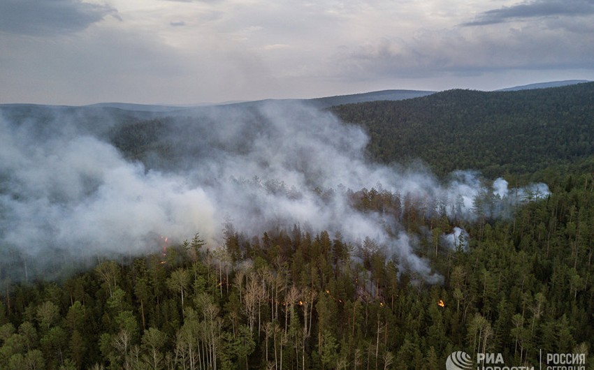 Пожары в Волгоградской области уничтожили более 150 строений