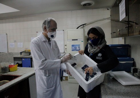 В Иране зарегистрировали первый случай заражения 
