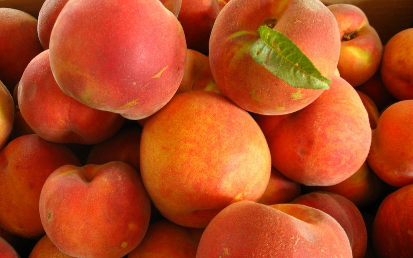 Доходы Азербайджана от экспорта персиков выросли более чем на 68%