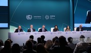 Minister of Health: Coalition of сo-Chairs on сlimate and health to be announced at COP29