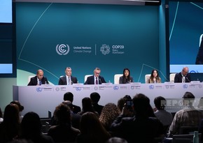 Министр здравоохранения: На COP29 объявят о создании Коалиции сопредседателей по климату и здоровью