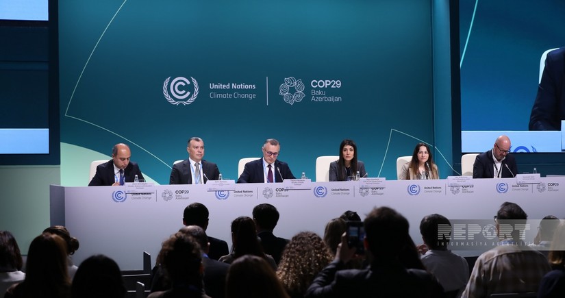 Minister of Health: Coalition of сo-Chairs on сlimate and health to be announced at COP29