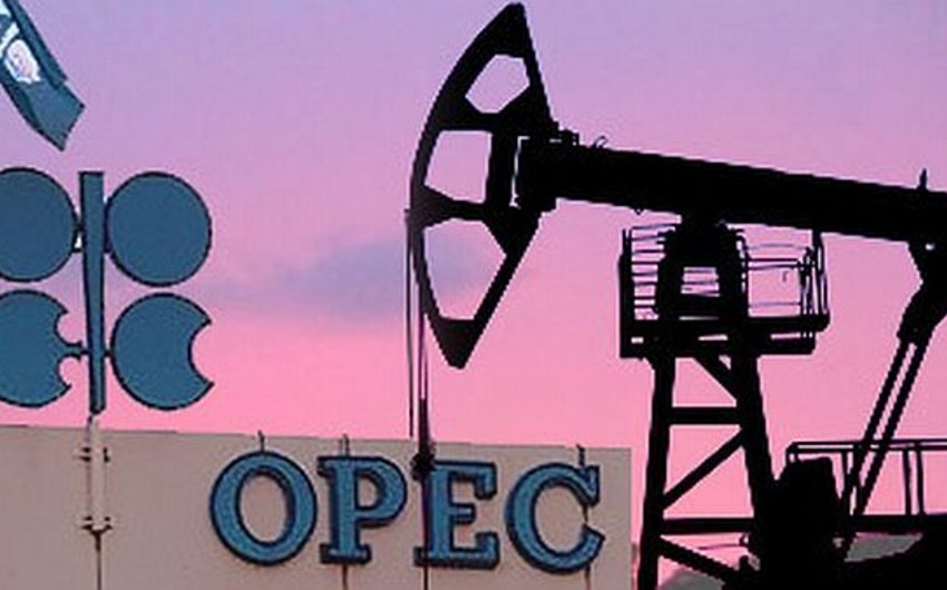 Bloomberg: ОПЕК не готовит план по сокращению добычи нефти к встрече в июне