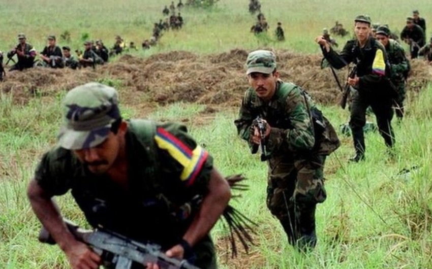 Colombia landmines: Farc to help army clear minefields