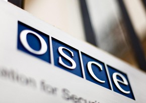 ОБСЕ объявила о скором закрытии мониторинговой миссии в Украине