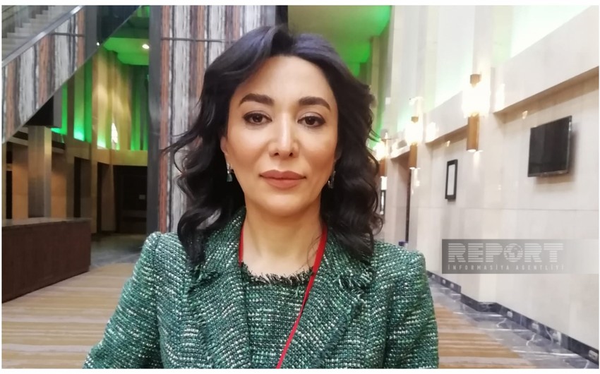 Sabina Aliyeva: Azerbaijan's appeals to international institutions regarding war crimes of Armenia continue