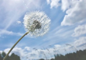 Azerbaijan weather forecast for July 14