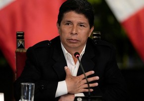 Мексика предоставила политубежище жене и детям отстраненного президента Перу 