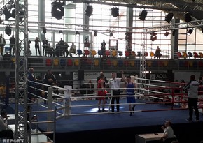 Brawl took place among Turkish and Georgian boxers in European Championship - VIDEO