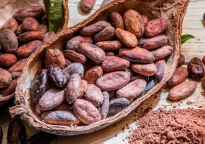 Установлен новый рекорд биржевых цен на какао-бобы