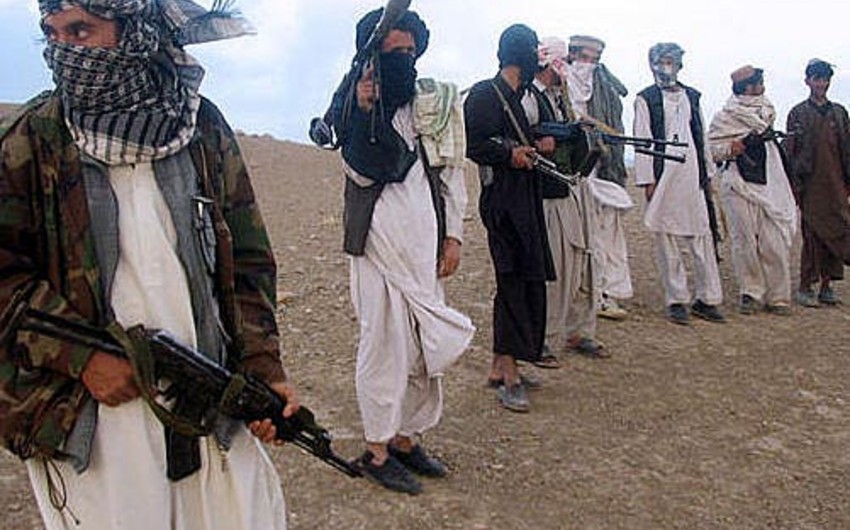 Талибы убили пятерых сотрудников гуманитарной неправительственной организации
