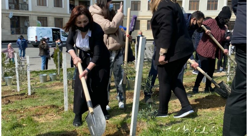 Фото дня отчет. Сажать деревья во сне. Журналистка МИД садят деревья. Последний вторник перед Новрузом. Последний вторник перед Новрузом в Азербайджане.