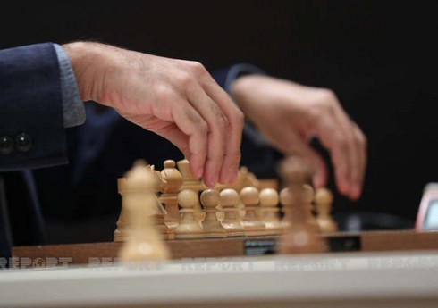 Четверо азербайджанских шахматистов завоевали путевку на Кубок мира