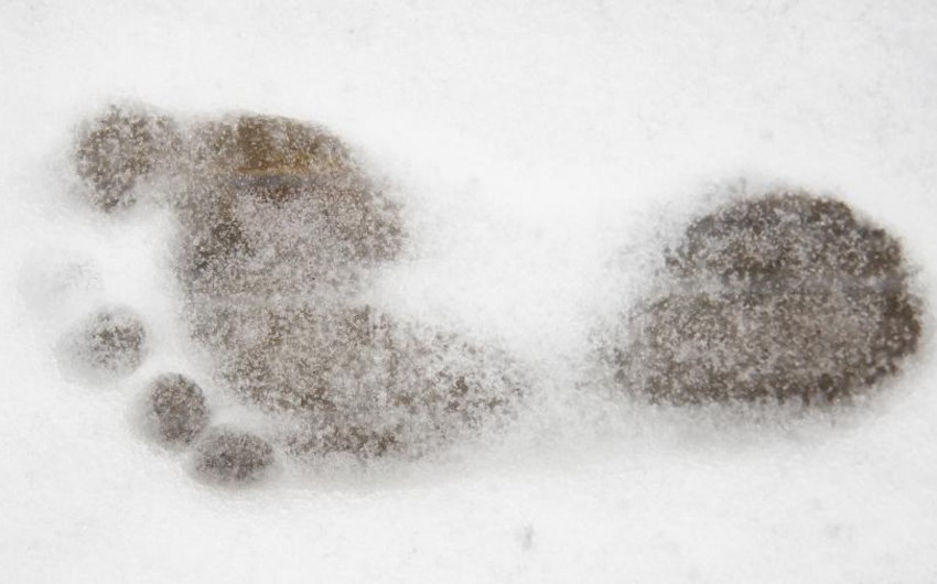 В США вознаграждение за поимку снежного человека увеличили до $2,1 млн