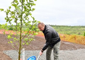 Ильхам Алиев и Мехрибан Алиева посадили деревья в парке, который будет создан в городе Физули