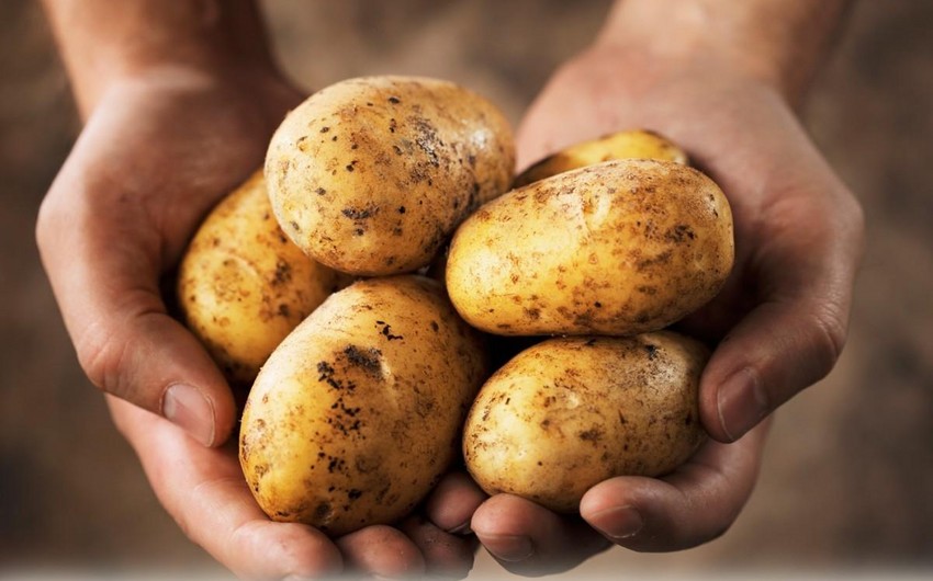 Azerbaijan leads Georgia’s potato exports in 2024