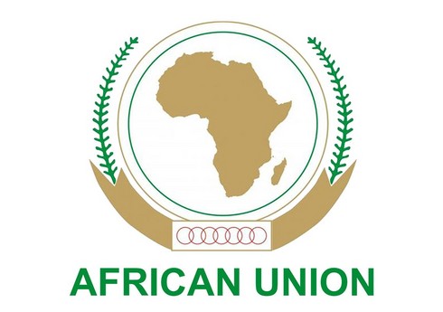 В парламенте Африканского союза произошла драка