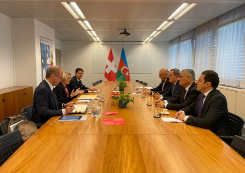 Глава МИД Азербайджана проинформировал госсекретаря Швейцарии о встрече с Мирзояном
