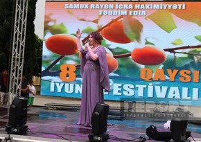 В Азербайджане впервые проведен Фестиваль абрикоса
