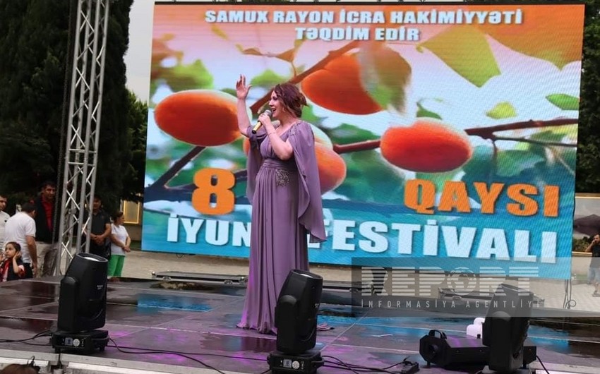 В Азербайджане впервые проведен Фестиваль абрикоса