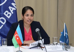 Сара Майкл: Мы можем поделиться с Азербайджаном опытом реконструкции и восстановления