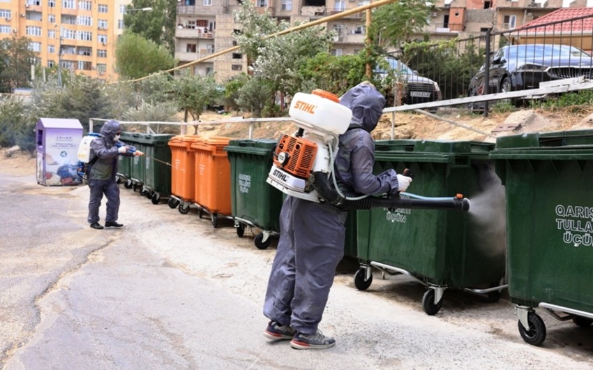 Binəqədidə bərk məişət tullantılarının yığılması üçün yeni konteyner meydançaları yaradılıb