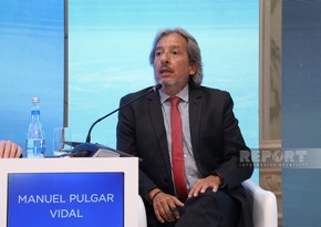  Pulqar-Vidal: COP29-da bu il qlobal uyğunlaşma modelinə diqqət yetiriləcək