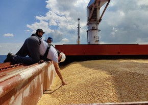 ООН: Маршруты вывоза зерна с Украины определяет частный сектор