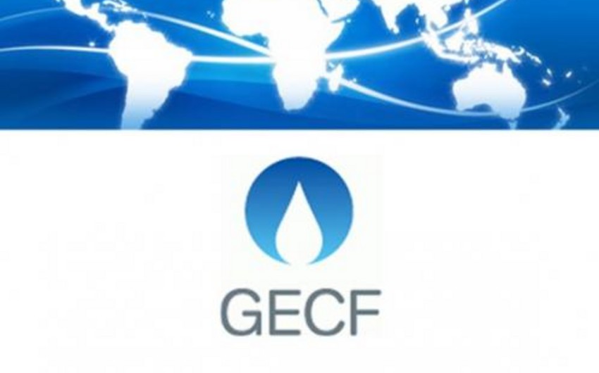 Azerbaijani Minister of Energy to take part in summit meeting of GECF in Tehran