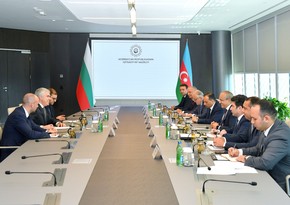 Азербайджан и Болгария обсудили энергетическое сотрудничество