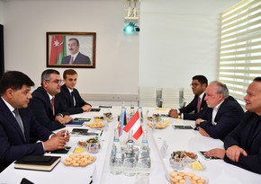 Austrian company invited to invest in industrial zones of Azerbaijan