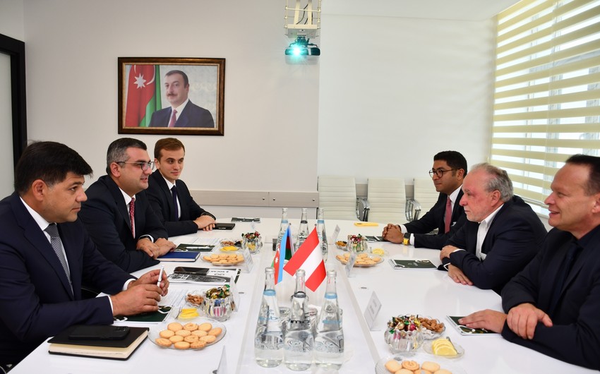 Austrian company invited to invest in industrial zones of Azerbaijan