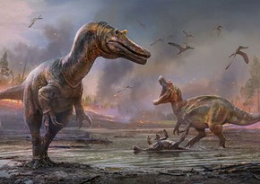 British scientists discover 2 new species of big dinosaurs