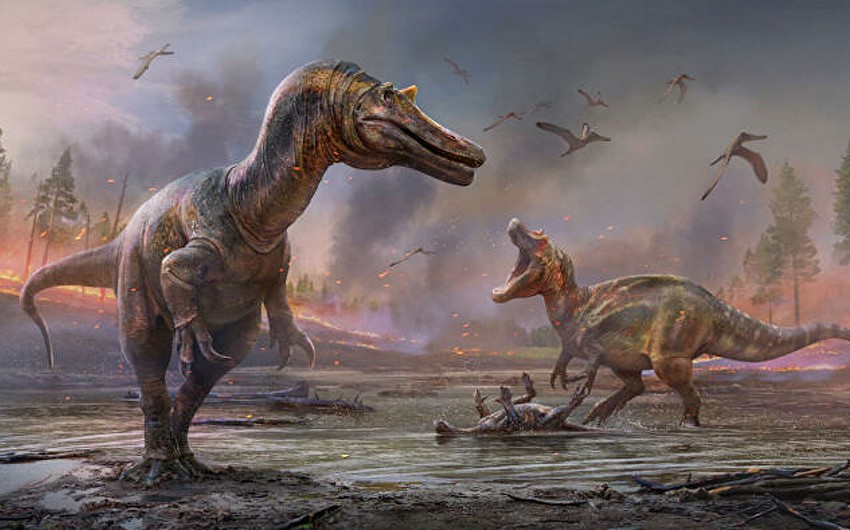 İngiltərədə iki dinozavr növü tapılıb