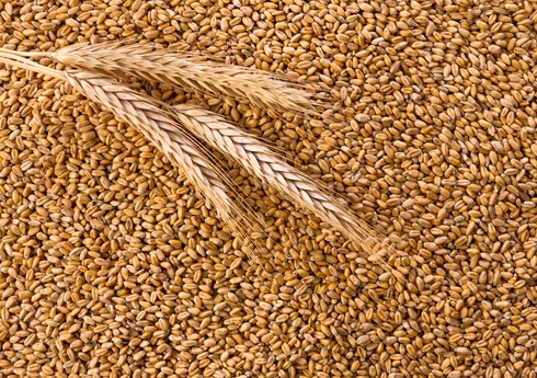 Азербайджан сократил импорт пшеницы вдвое