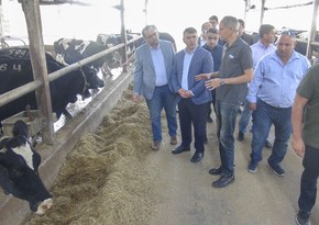 Azerbaijan, Israel to expand agricultural cooperation 