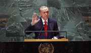 Erdogan calls for urgent UN Security Council reform