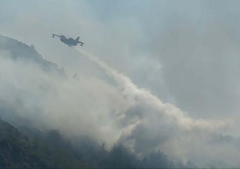 В Бодруме возник лесной пожар
