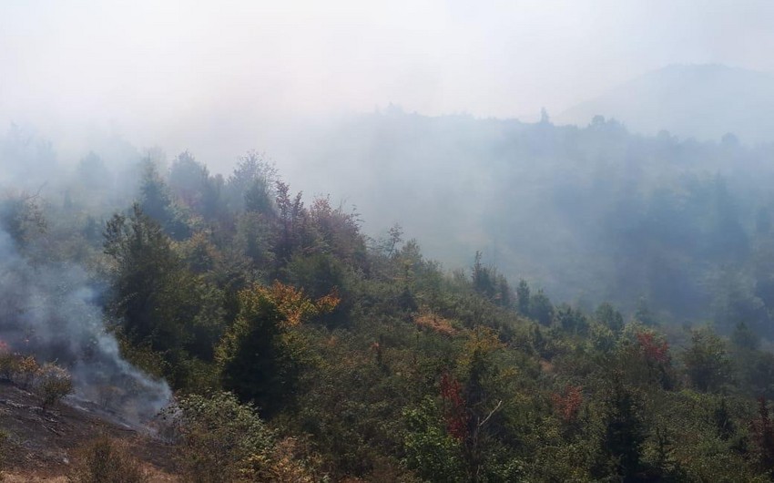 В Габале продолжается лесной пожар